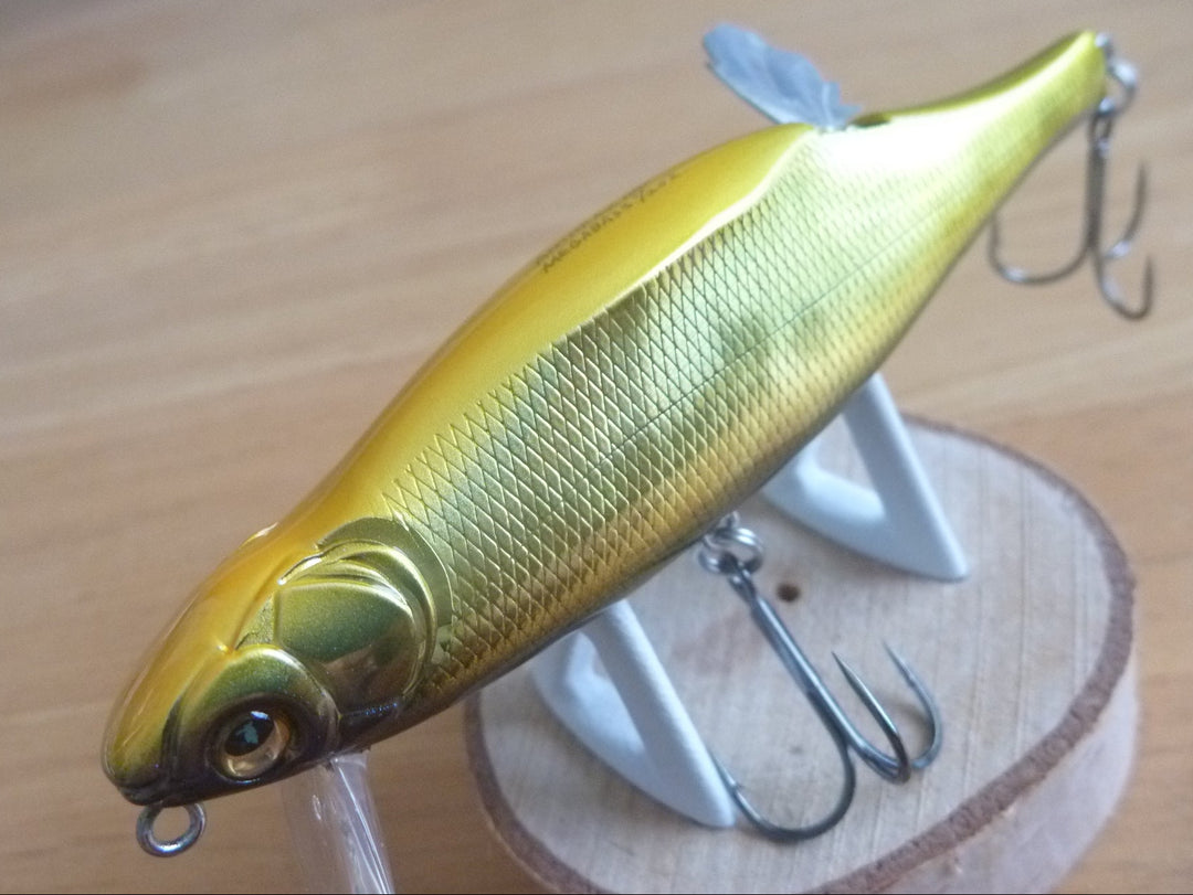 New Arrival – blueseabass