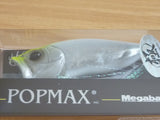 POPMAX Limited Color SP-C
