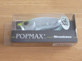 POPMAX Limited Color SP-C