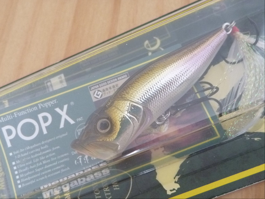 New Arrival – blueseabass