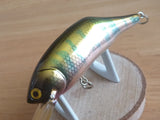 Megabass BAIT-X SEAL EYES