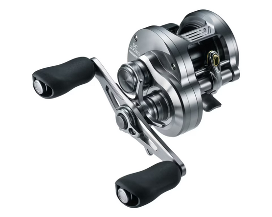 SHIMANO 26 CALCUTTA CONQUEST DC – blueseabass