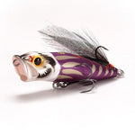 2025 Limited Color SP-C MURASAKI DARUMA