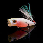 pre-order Respect Color BABY KINGYO