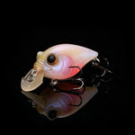 pre-order Respect Color BABY KINGYO
