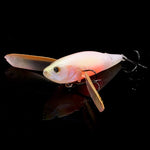 pre-order Respect Color BABY KINGYO