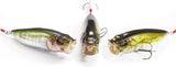 POPMAX SWITCHING B/H 2026 Limited Color SP-C