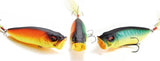 POPMAX SWITCHING TIGER 2026 Limited Color SP-C