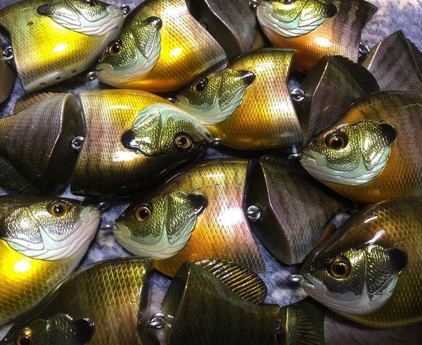 55928069_419811688582465_19239