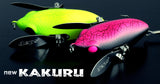 deps new KAKURU 2021 limited