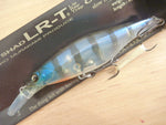 HAMA SHAD LR-T 81SR / SF 7Palms Limited Color