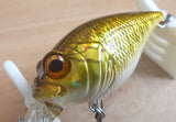 Megabass MR-X GRIFFON