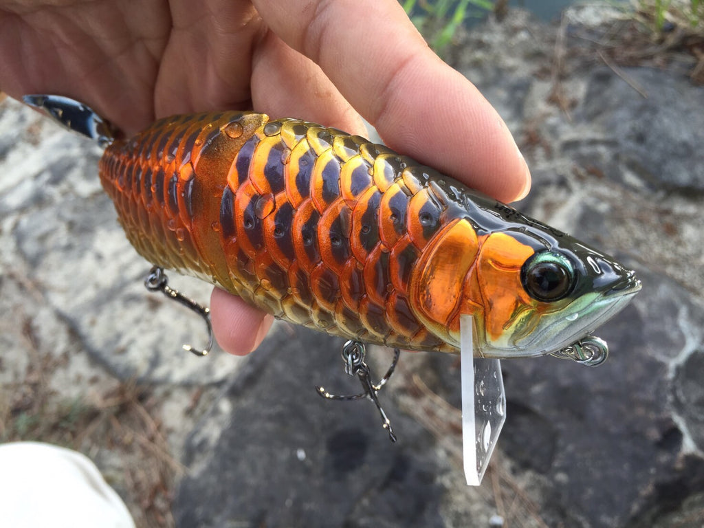 Sora Design AROWANA – blueseabass