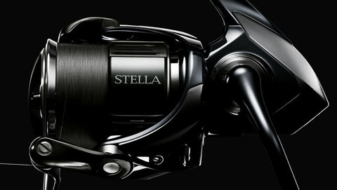 DAIWA STEEZ LIMITED SV TW – blueseabass