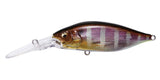 DEEP-X200 LBO