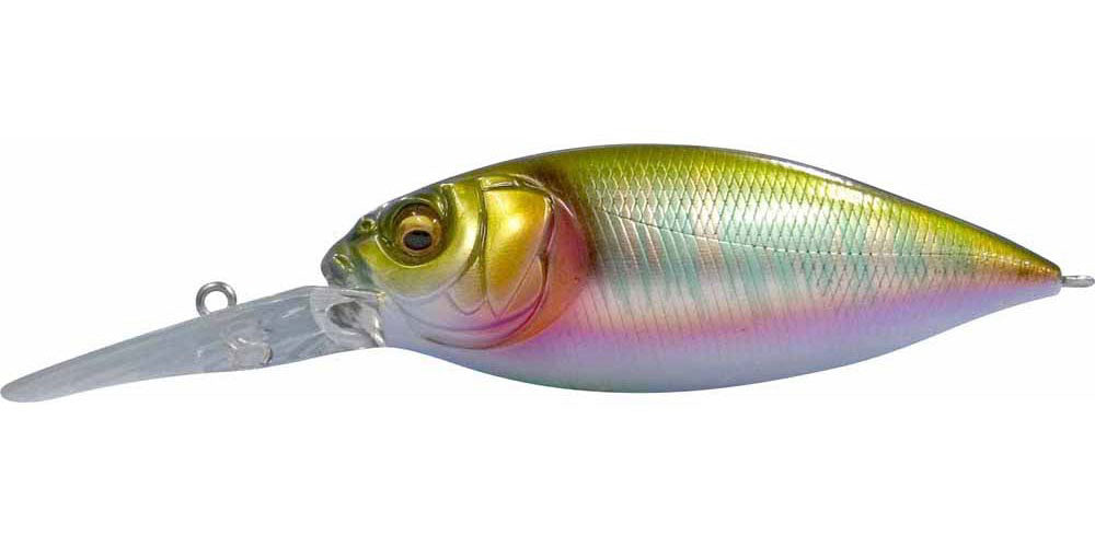 Megabass DX-FREE 2.0 – blueseabass