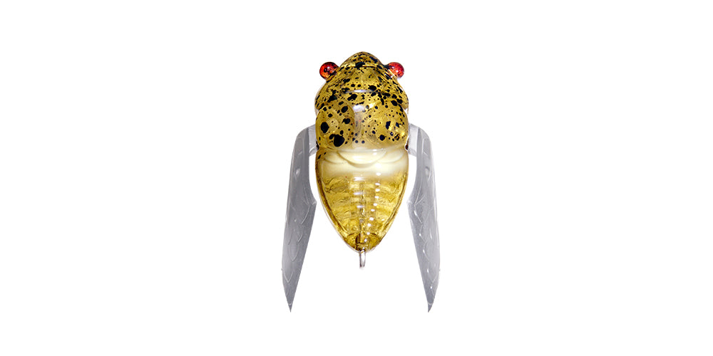 絶版‼️ Dafy Hagai Golden Showers Golden Showers - Dafy Hagai