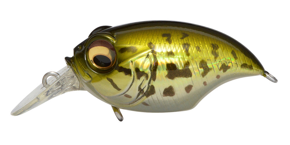 Megabass MR-X GRIFFON - Hard Baits - Plus Fishing Megabass MR-X GRIFFON - Hard Baits - Plus Fishing