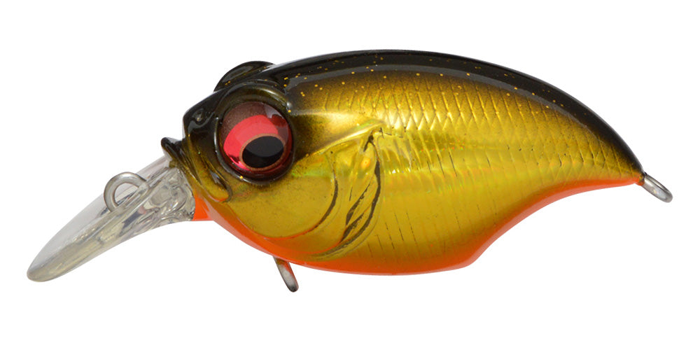 Megabass SR-X GRIFFON – blueseabass