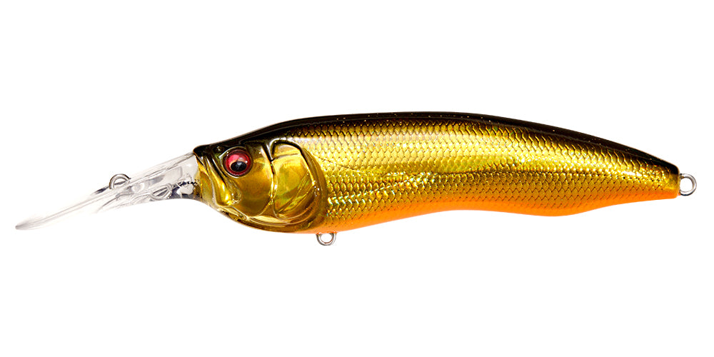 冬ギフト セ Megabass blueseabass – MODEL1 LIVE-X 小物
