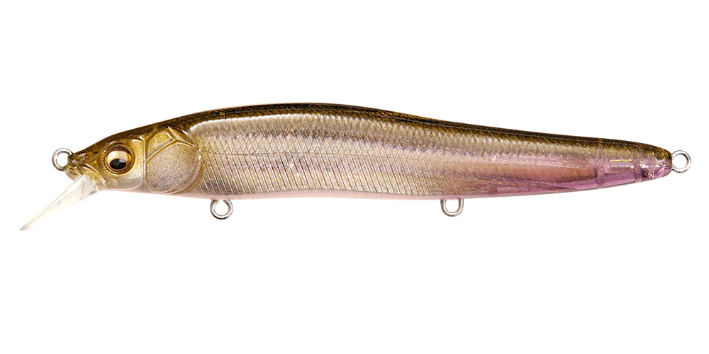 MEGABASS / VISION ONETEN FX (CARROZZERIA LIMITED