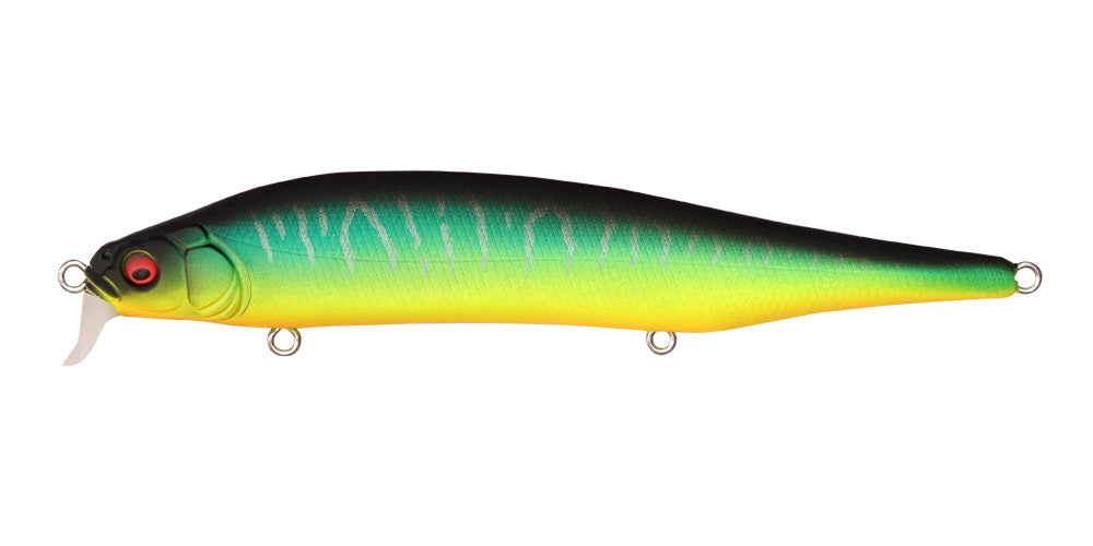 Megabass ITO SHINER SSR – blueseabass