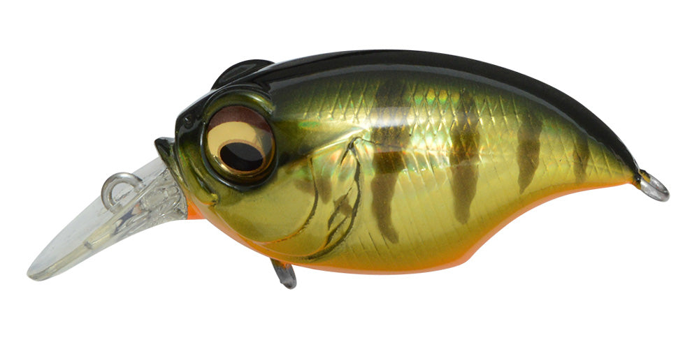 Megabass SR-X GRIFFON – blueseabass
