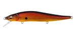 VISION ONETEN 110