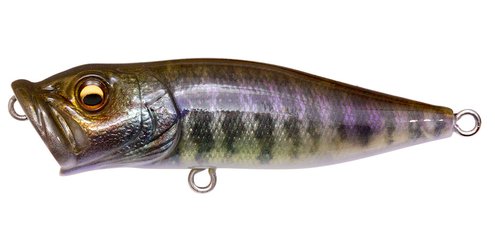 Megabass POPX Fine Art Finish FA Color – blueseabass