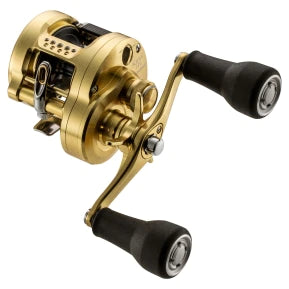 SHIMANO 23 CALCUTTA CONQUEST MD – blueseabass SHIMANO 23 CALCUTTA CONQUEST MD – blueseabass